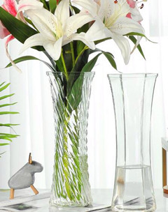 玻璃透明花瓶